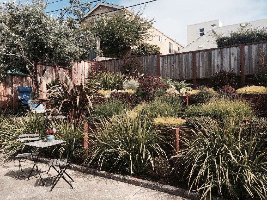 terraced garden